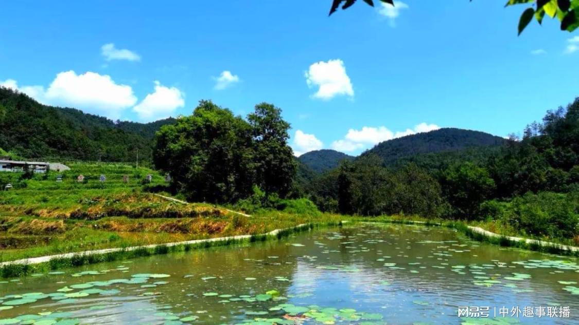 同事为了请假已经不择手段了