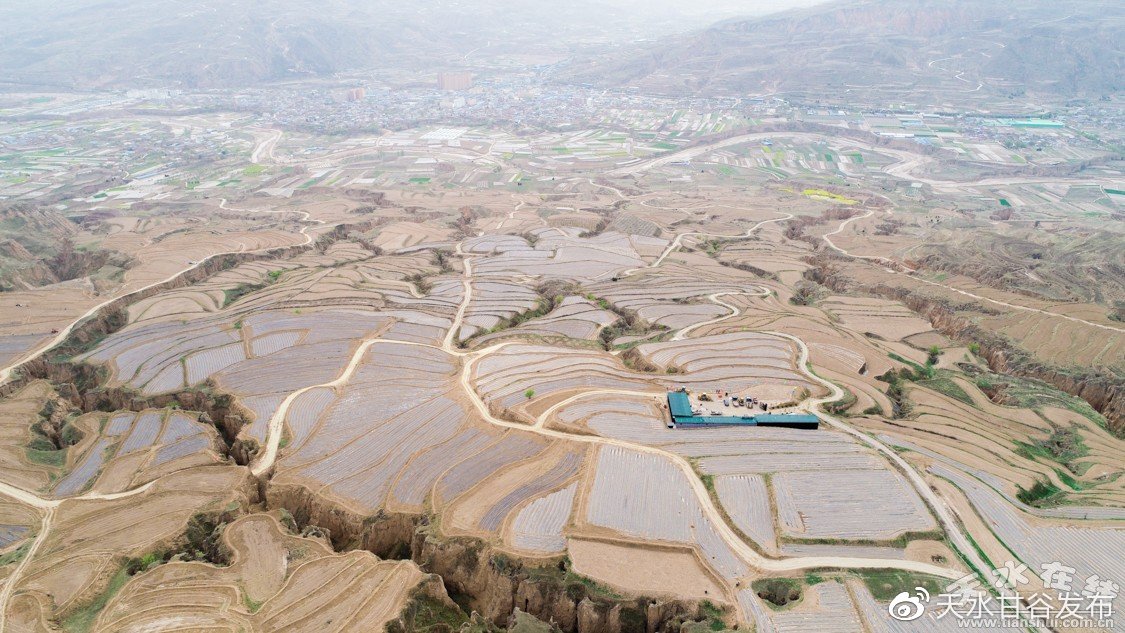领克08把手车互联卷到天花板
