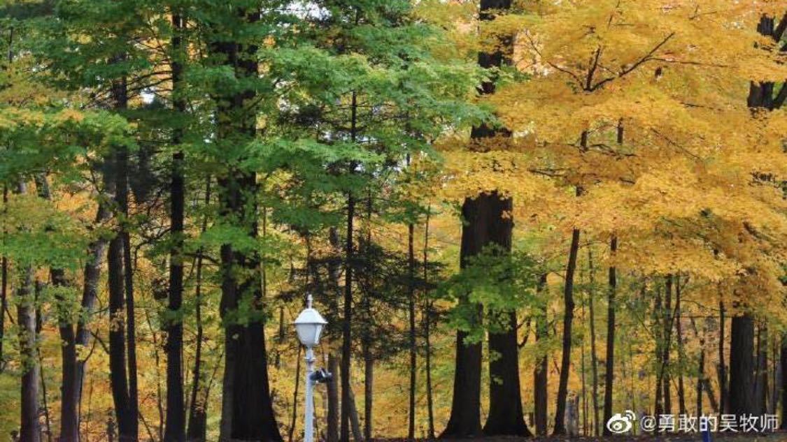 人工点赞团队24小时在线