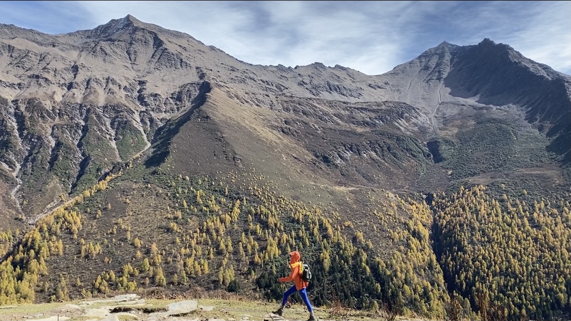 都有点赞评论的软件下单